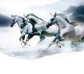 省内排行前十，，，，，，，设计、施工实力排前